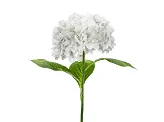 Umjetni cvijet - Hortenzija Premium u bijeloj boji